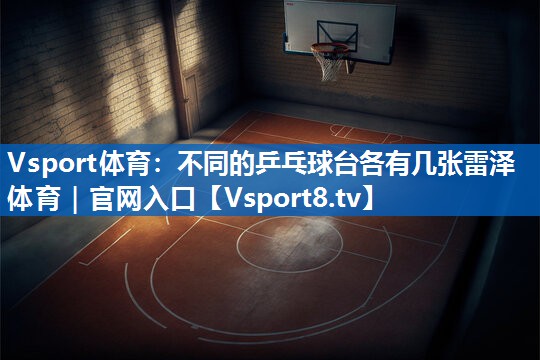 Vsport体育：不同的乒乓球台各有几张雷泽体育｜官网入口