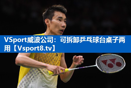 VSport威波公司：可拆卸乒乓球台桌子两用