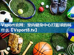Vsport官网：室内健身中心打篮球的叫什么