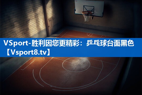 VSport-胜利因您更精彩：乒乓球台面黑色