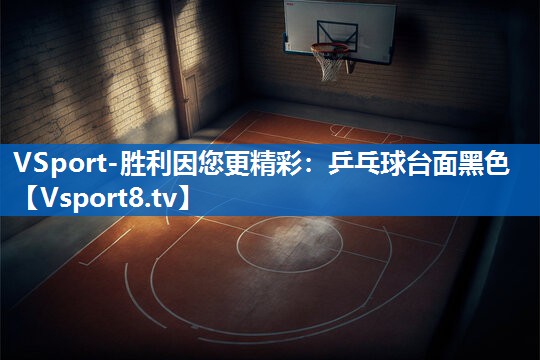 乒乓球台面黑色