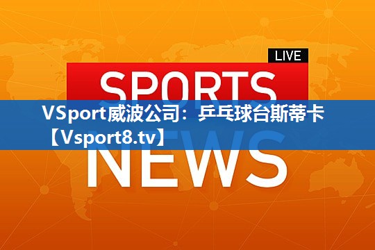 <strong>VSport威波公司：乒乓球台斯蒂卡</strong>
